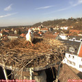 13_25-nest.jpg