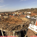 13_40-nest.jpg