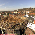 13_55-nest.jpg