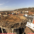 14_00-nest.jpg