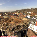 14_05-nest.jpg