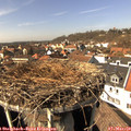 14_10-nest.jpg