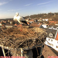 14_15-nest.jpg