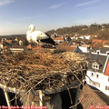 14_20-nest.jpg