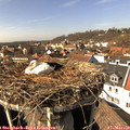 14_25-nest.jpg