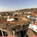 14_30-nest.jpg