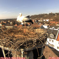 14_35-nest.jpg