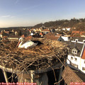 14_45-nest.jpg