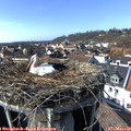 14_55-nest.jpg