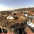 15_05-nest.jpg