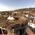 15_10-nest.jpg