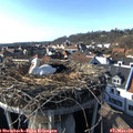 16_00-nest.jpg