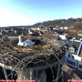 16_05-nest.jpg