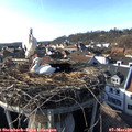 16_15-nest.jpg