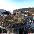 16_35-nest.jpg