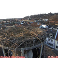 17_40-nest.jpg