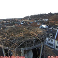 17_45-nest.jpg