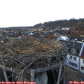 18_00-nest.jpg