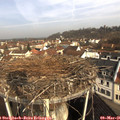 09_25-nest.jpg