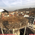 09_30-nest.jpg