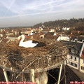 09_35-nest.jpg
