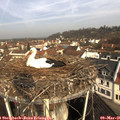 09_40-nest.jpg