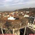 09_50-nest.jpg