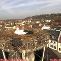 10_00-nest.jpg