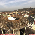 10_05-nest.jpg