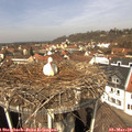 11_55-nest.jpg