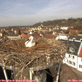 12_05-nest.jpg