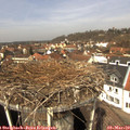 12_20-nest.jpg
