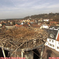 12_35-nest.jpg