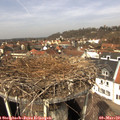 12_40-nest.jpg