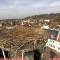 12_45-nest.jpg