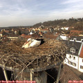 13_30-nest.jpg