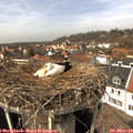 13_35-nest.jpg