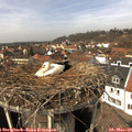 13_40-nest.jpg