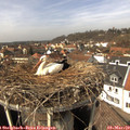 13_45-nest.jpg