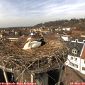 13_55-nest.jpg