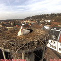 14_05-nest.jpg