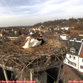 14_10-nest.jpg