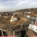 14_15-nest.jpg