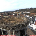 15_05-nest.jpg