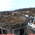 15_10-nest.jpg