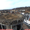 15_15-nest.jpg