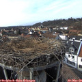 15_20-nest.jpg