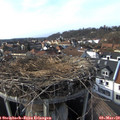 15_45-nest.jpg