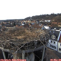 16_45-nest.jpg