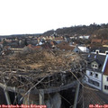 16_50-nest.jpg